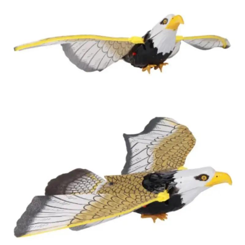  ġ    û ġ,  , ƺ   ġ